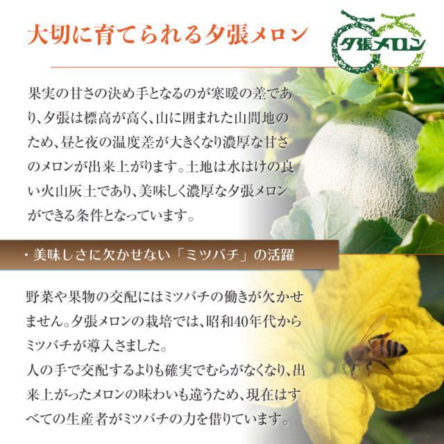 正規品高品質 夕張メロン お中元 御中元 暑中見舞い 残の通販はau PAY マーケット - ナチュラルストア|商品ロットナンバー:510080155 クラウンメロン 青肉 赤肉 セット ブランドメロン 高級品 お盆 新品超激得