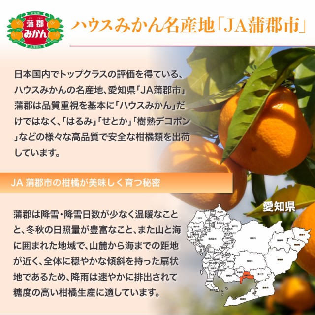 好評にて期間延長】 甘～い 訳あり ハウスみかん 5kg b