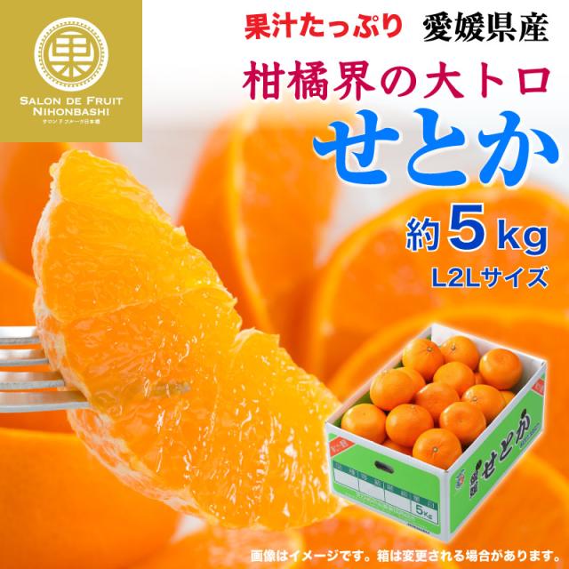 週間ランキング１位獲得 最短順次発送 せとか 約5kg L2lサイズ 愛媛県産 産地箱 みかん 人気 柑橘類 柑橘類の大トロ セトカ 御歳暮 贈答用 冬ギフト 高品位 無料長期保証 Cyede Com