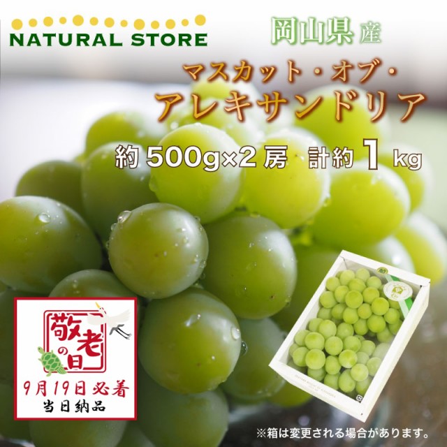 [予約 9月19日必着] マスカットオブアレキサンドリア 約1kg 岡山県産 約500g × 2 ぶどう 産地箱 敬老の日 まだ間に合う