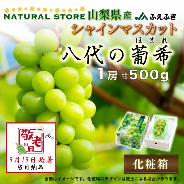 予約 9月19日必着] シャインマスカット 葡希 ほまれ 1房 約500g 八代支所 山梨県産 購入 ぶどう 敬老の日 まだ間に合う