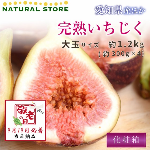 [予約 9月19日必着] 完熟いちじく イチジク 約1.2kg 約300g x 4 敬老の日 まだ間に合う