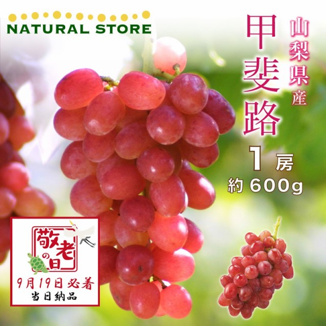 [予約 9月19日必着] 甲斐路 ぶどう 赤いマスカット 1房 約600g 山梨県産 かいじ 敬老の日 まだ間に合う