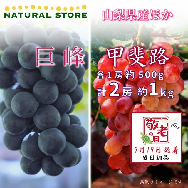 [予約 9月19日必着] 巨峰 甲斐路 各1房 約1kg 500g 山梨県他 ぶどう 敬老の日 まだ間に合う