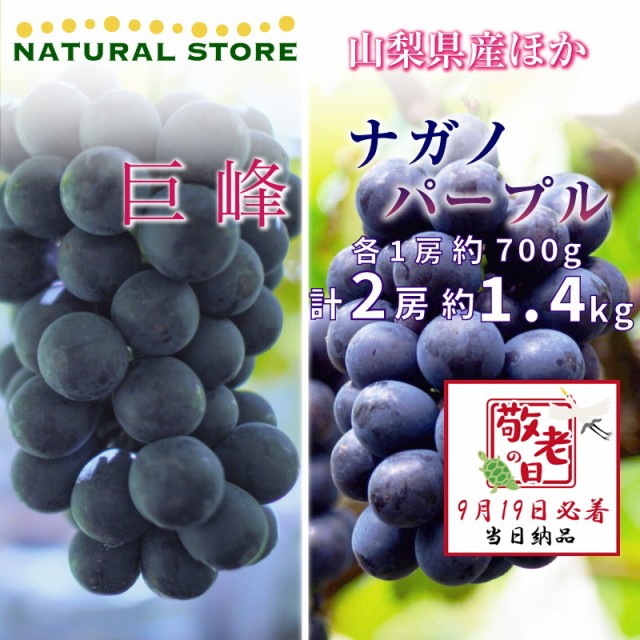 [予約 9月19日必着] 巨峰 ナガノパープル 各1房 約1.4kg 700g 山梨県 長野県 ぶどう 敬老の日 まだ間に合う