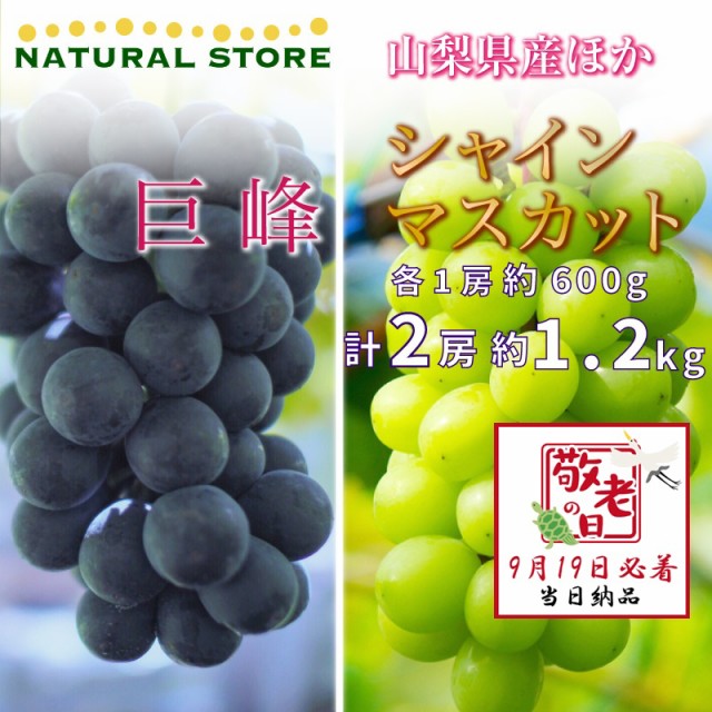 [予約 9月19日必着] 巨峰 シャインマスカット 各1房 約1.2kg 600g 山梨県産他 ぶどう 敬老の日 まだ間に合う