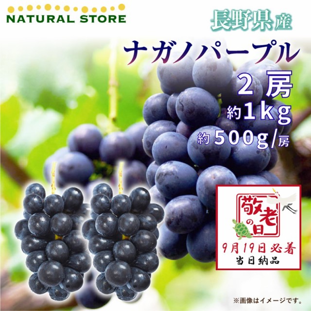 [予約 9月19日必着] ナガノパープル 2房 約1kg ぶどう 約500g房 x 2 長野県産 敬老の日 まだ間に合う