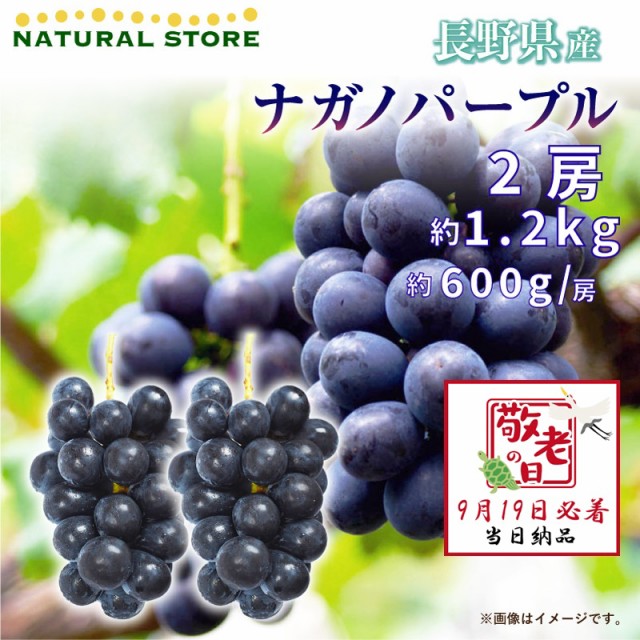 [予約 9月19日必着] ナガノパープル 2房 約1.2kg ぶどう 約600g房 x 2 長野県産 敬老の日 まだ間に合う