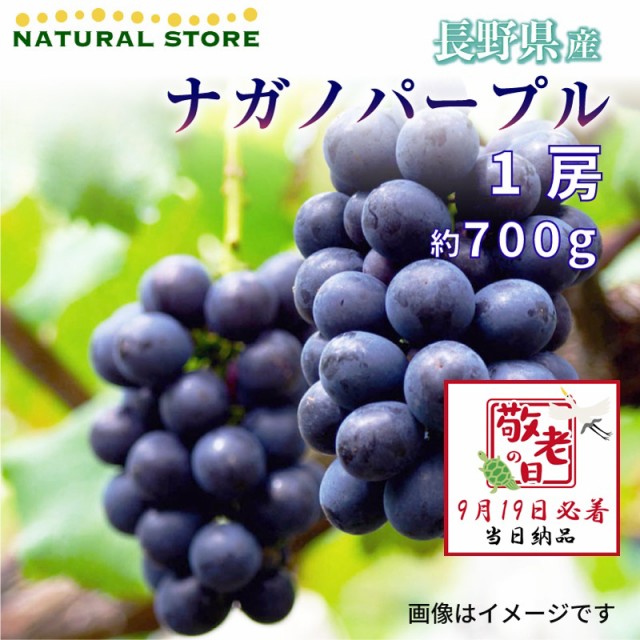 [予約 9月19日必着] ナガノパープル 1房 約700g ぶどう 長野県産 長野 敬老の日 まだ間に合う