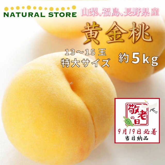 [予約 9月19日必着] 黄金桃 もも 桃 黄桃 有袋栽培 約5kg 13-15玉 特大 山梨県産他 敬老の日 まだ間に合う