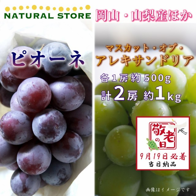 [予約 9月19日必着] ピオーネ マスカットオブアレキサンドリア 各1房 約1kg 500g 岡山山梨県産他 敬老の日 まだ間に合う