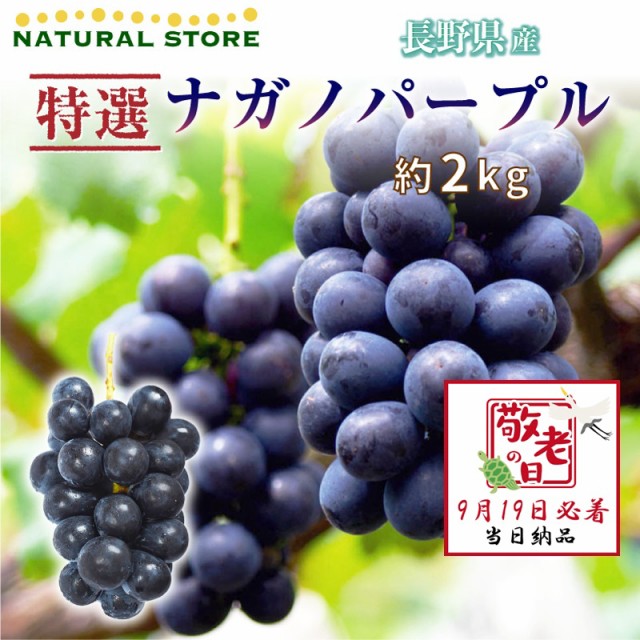 [予約 9月19日必着] ナガノパープル 2kg 長野県産 敬老の日 まだ間に合う