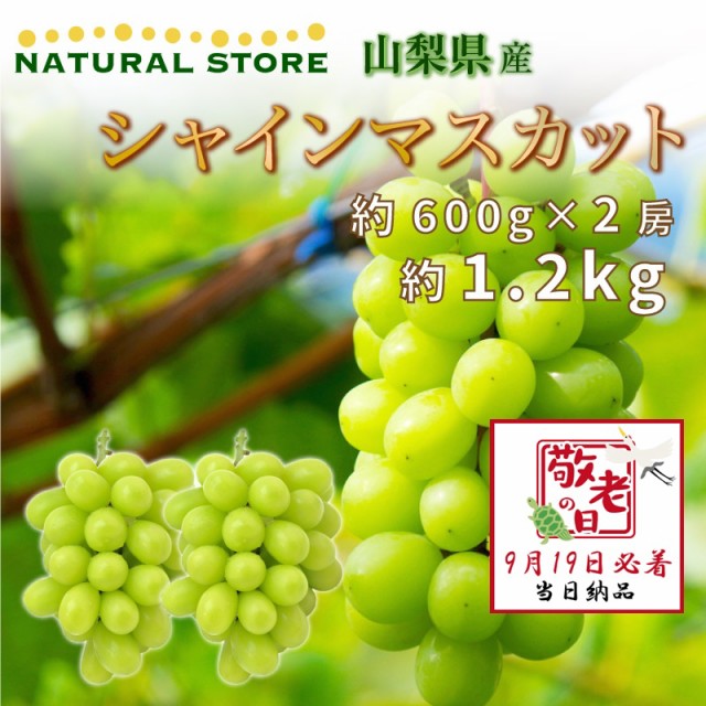 [予約 9月19日必着] シャインマスカット 2房 約1.2kg 山梨県産 約600g x 2房 ぶどう 敬老の日 まだ間に合う