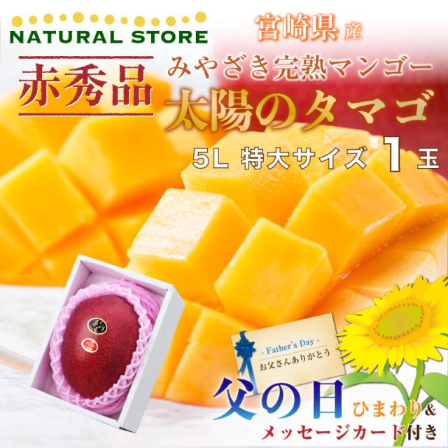 数量限定 予約 6月21日 7月10日のご納品 父の日 生花ひまわり付 ギフト マンゴー 太陽のタマゴ 赤秀品 特大 5l 1玉 完熟マンゴー Ja 太陽のたま 速達メール便 Theblindtigerslidell Com