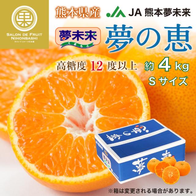 予約 12月5日から12月30日のご納品 夢の恵 約4kg 2sサイズ 熊本県産 Ja熊本市夢未来 みかん ブランド ゆめのめぐみ プレミアム 高糖度 Solaristransportes Com Br 予約 12月5日から12月30日のご納品 夢の恵 約4kg 2sサイズ 熊本県産 Ja熊本市夢未来 みかん ブランド ゆめのめぐみ プレミアム 高糖度 Solaristransportes Com Br