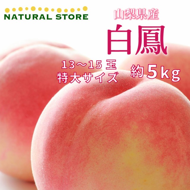 [予約 7月1日-7月31日の納品] 白鳳 約5kg 13-15玉 特大 山梨県産 白桃 桃 もも