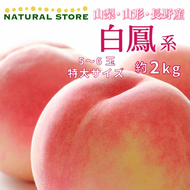 [予約 7月1日-7月31日の納品] 白鳳系 約2kg 5-6玉 特大 山梨県産ほか 白鳳 日川白鳳 白桃 桃 もも