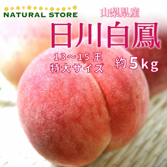 予約 7月1日-7月31日の納品] 日川白鳳 約5kg 13-15玉 特大 山梨県産