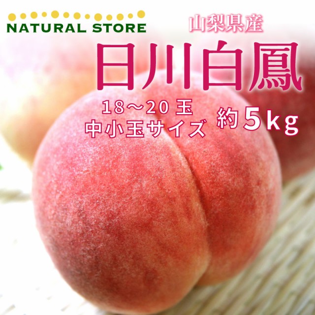 [予約 7月1日-7月31日の納品] 日川白鳳 約5kg 18-20玉 中小玉 山梨県産 白桃 桃 もも