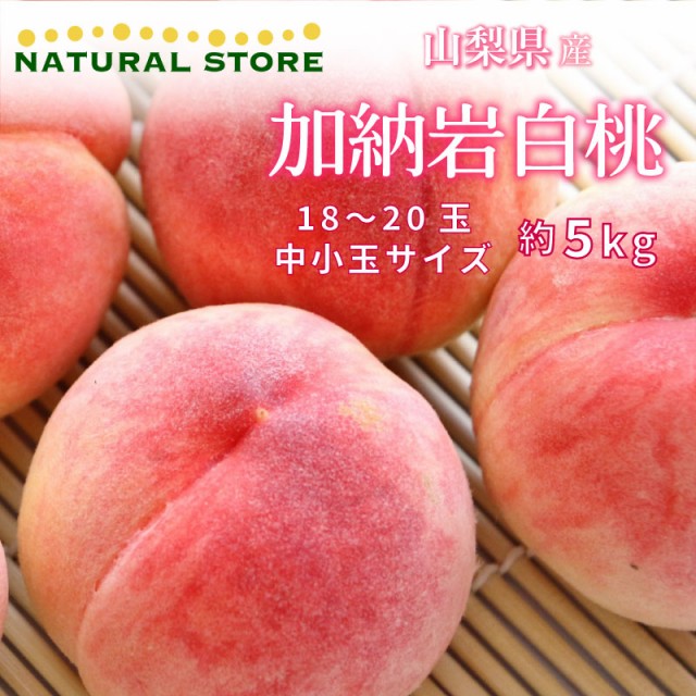 [予約 7月1日-7月31日の納品] 加納岩白桃 約5kg 18-20玉 中小玉 山梨県産 白桃 桃 もも