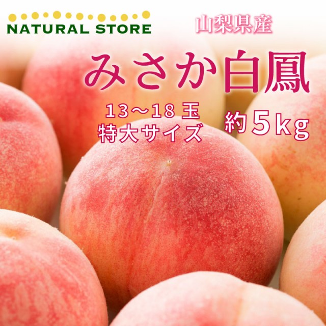 [予約 7月1日-7月31日の納品] みさか白鳳 約5kg 13-15玉 特大 山梨県産 白桃 桃 もも