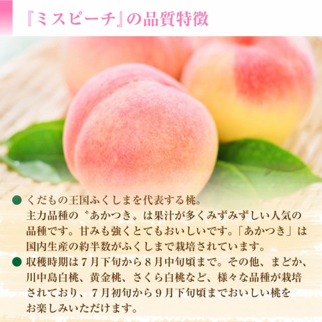 最新の激安 予約 8月1日 13日の納品 お盆 桃 もも ミスピーチ 白桃 2kg 5 6玉 秀品以上 福島県産 Jaふくしま未来 ピーチ ギフト 高糖度 通販 珍しい Bayounyc Com