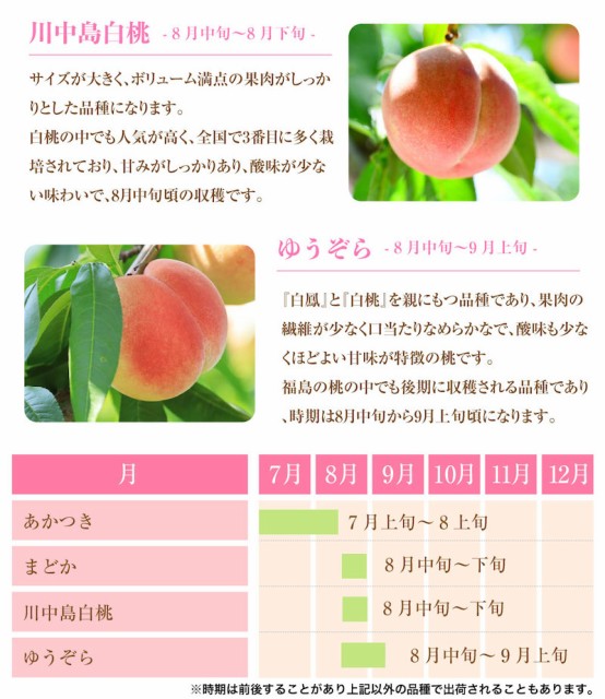 最新の激安 予約 8月1日 13日の納品 お盆 桃 もも ミスピーチ 白桃 2kg 5 6玉 秀品以上 福島県産 Jaふくしま未来 ピーチ ギフト 高糖度 通販 珍しい Bayounyc Com