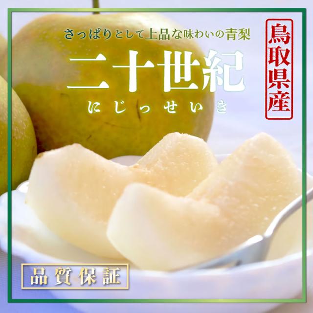 絶対一番安い 予約 8月日 9月15日の納品 二十世紀 梨 10kg 24玉 鳥取県産 通販 旬の果物 フルーツ くだもの なし 取り寄せ 和梨 果実専用箱 当店人気 送料無料 Vacationgetaways4less Com
