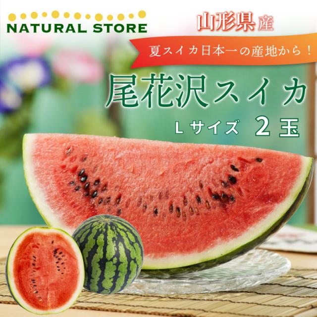 上質で快適 予約 8月1日 15日の納品 尾花沢すいか 大玉スイカ Lサイズ 2玉 山形県産 尾花沢 西瓜 すいか お盆 お中元 御中元 暑中見舞い 残暑見舞 超目玉 Www Iacymperu Org