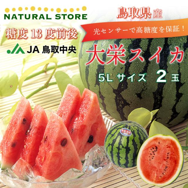 時間指定不可 予約 7月15日 8月15日のご納品 大栄スイカ 5lサイズ 2玉 鳥取県産 大玉スイカ 高糖度 西瓜 すいか お盆 お中元 御中元 暑中見舞い 残 のオシャレな Teammedellin Co