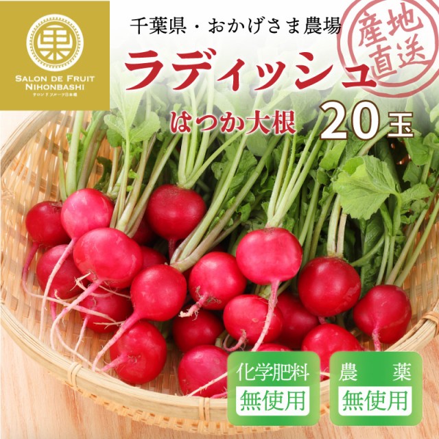 [予約 4月中旬頃から発送] ラディッシュ レッドチャイムなど 20玉 無農薬・無化学肥料栽培 おかげさま農場産 無農薬 無化学肥料 はつか大