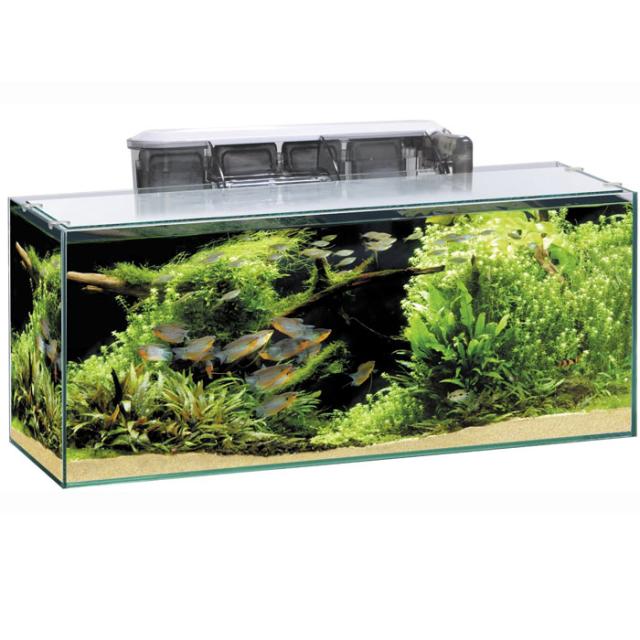 Gex グラステリアスリム600 6点セット 60cmガラス水槽セットの通販はau Pay マーケット アクアアベニュー 商品ロットナンバー