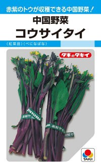 タキイ種苗 中国野菜 コウサイタイ 紅菜苔 べになばな Mfの通販はau Pay マーケット 種苗 園芸ショップ 種もり 商品ロットナンバー