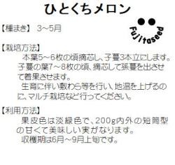 藤田種子 ひとくちメロン 小袋の通販はau Wowma ワウマ 種苗 園芸ショップ 種もり 商品ロットナンバー