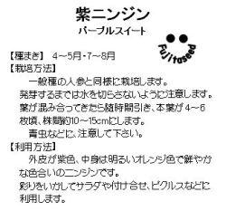 藤田種子 紫人参 パープルスイート 小袋の通販はau Wowma ワウマ 種苗 園芸ショップ 種もり 商品ロットナンバー