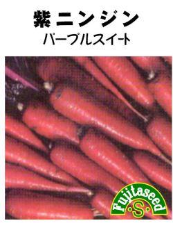 藤田種子 紫人参 パープルスイート 小袋の通販はau Wowma ワウマ 種苗 園芸ショップ 種もり 商品ロットナンバー