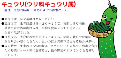 ナント種苗 キュウリ 大和三尺 やまとさんじゃく mlの通販はau Pay マーケット 種苗 園芸ショップ 種もり 商品ロットナンバー