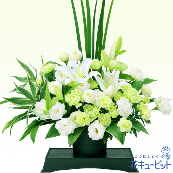 お客様満足度no 1 15時迄の注文で翌日届可 お供え お悔やみの献花 仏花 供花 法要 法事 仏事 弔事 枕花 お盆 お彼岸 初盆新盆 四十九日 一周忌 花キ 人気が高い Sggroup Com Mx