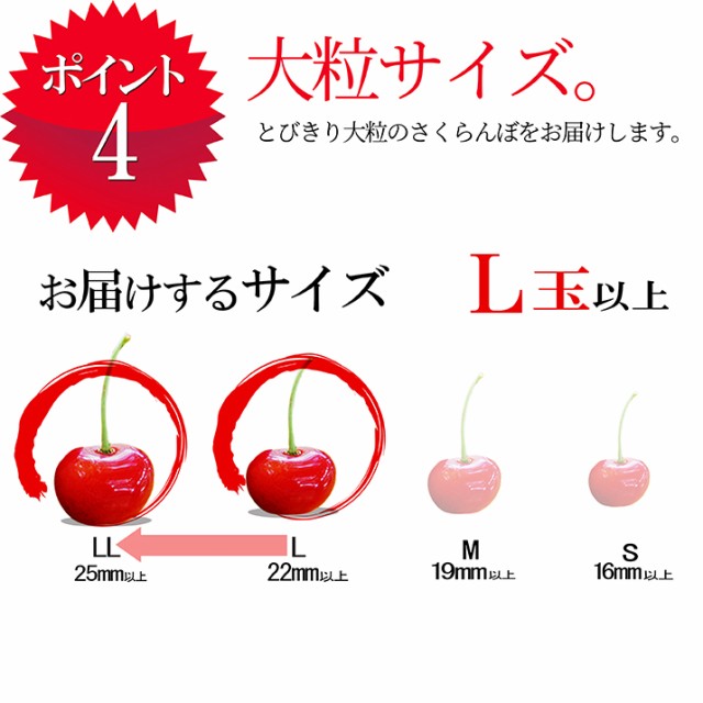 値引きする 21年6月中旬発送予定 先行予約 さくらんぼ 佐藤錦 特秀 L玉 1kg 500g 2 山形県産 産地直送 化粧箱入 プレゼント ギフト 品質 高速配送 Bayounyc Com