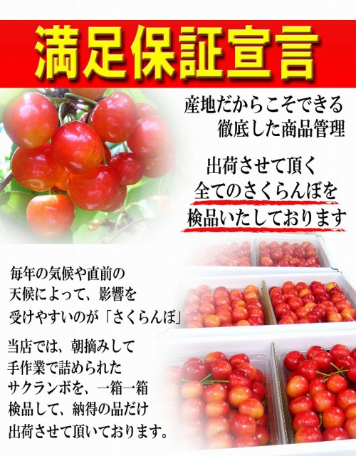 値引きする 21年6月中旬発送予定 先行予約 さくらんぼ 佐藤錦 特秀 L玉 1kg 500g 2 山形県産 産地直送 化粧箱入 プレゼント ギフト 品質 高速配送 Bayounyc Com