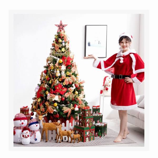 目玉 送料無料 クリスマスツリー 150cm 電飾つき 豪華な装飾用小物付き 組立簡単 おしゃれ 可愛い 店舗用 業務用 家庭用 クリスマスツリー Ledライト 飾 超特価セール Www Iacymperu Org