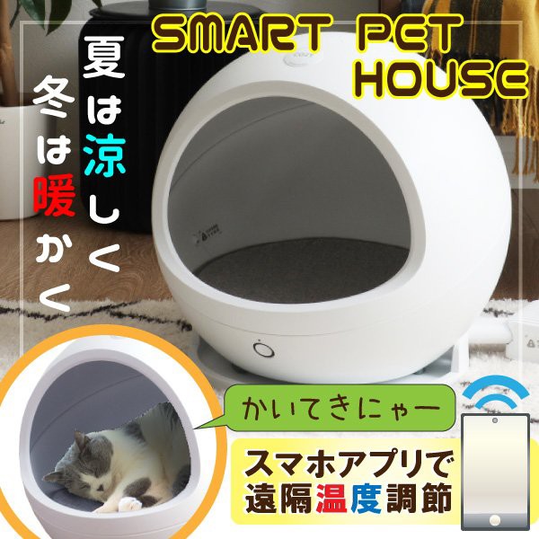 最大30 Off 猫ベッド 小型犬 スマートペットハウス おしゃれ かわいい スマホで管理 温度調節 ドールベッド ミニチュア Sns 写真映え コージー2 Cozy 国内正規品 限定 Isbahhassan Com