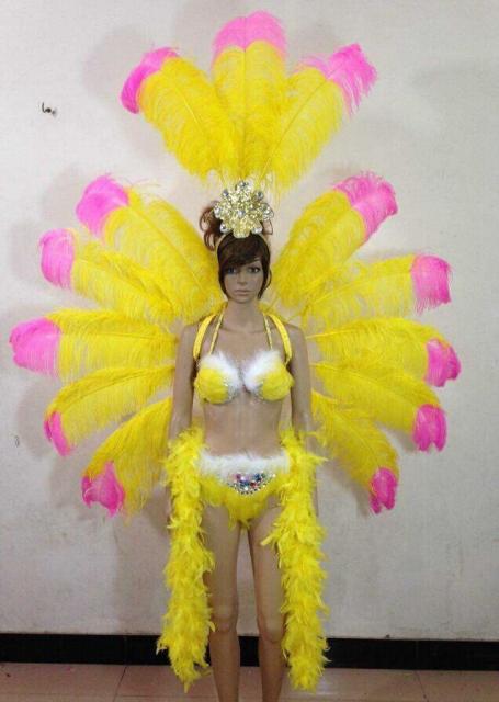 数量限定 サンバ衣装 羽 コスプレ ダンスショー シンガー カーニバル パーティー 祭り 公式の Olsonesq Com