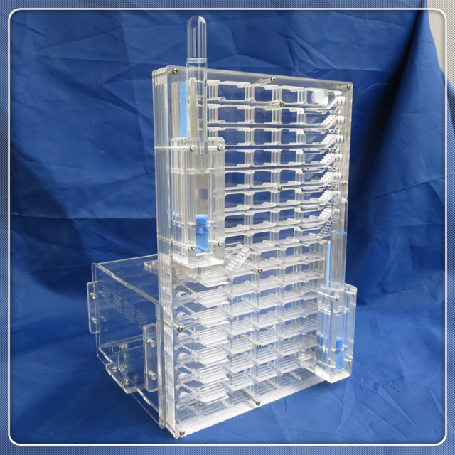 驚きの安さ アクリル製の大きなアリさんハウス 飼育ケース アリの巣観察キット 夏休みの自由研究 虫かご いきもの 限定価格セール Earlscourt Glaziers Co Uk