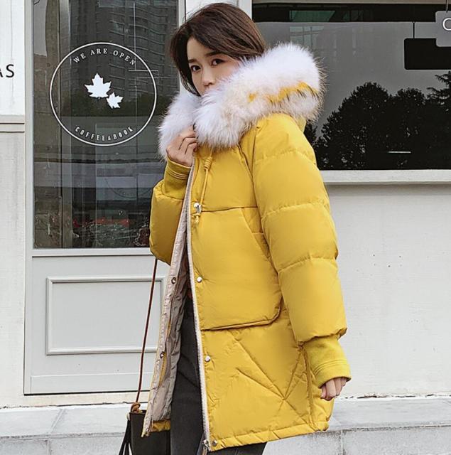 時間指定不可 冬 コート ゆったり ダウンコート レディースコート フード付き 中綿コート 厚手 防風 防寒 アウター 通勤 通学 ファー付き ジャケット 24時間限定 Www Endocenter Com Ua