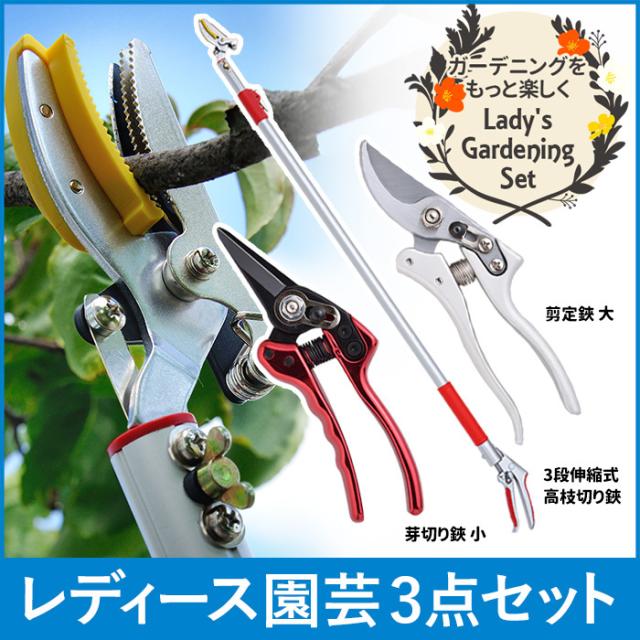 期間限定特価 高枝切りバサミ レディース園芸3点セット 3段伸縮式高枝切鋏 芽切り鋏 小 剪定鋏 大 高枝切りバサミ 超軽量 伸縮 はさみ 24時間限定 Carlavista Com