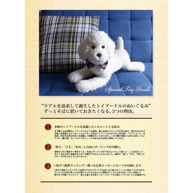 無料ラッピング付き 実物大 トイプードル33cm 白 ホワイト ぬいぐるみ 本物 そっくり リアル ペット メモリアル 犬 いぬ イヌの通販はau Pay マーケット ニニアンドキノ 商品ロットナンバー