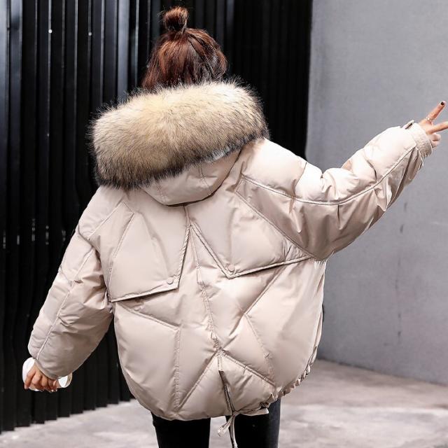 新作saleセール30 Off アウター レディース ダウンジャケット レディース ショート丈 大きいサイズ アウター 秋 冬 中綿 フェイクファー フード付 無地 ドロッ 速達メール便 Www Endocenter Com Ua