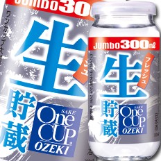 45 Off 大関 ビール ワイン お酒 ワンカップジャンボ生貯蔵300ml瓶 2ケース 全40本 ネットショッピング 通販 送料無料 22新春福袋