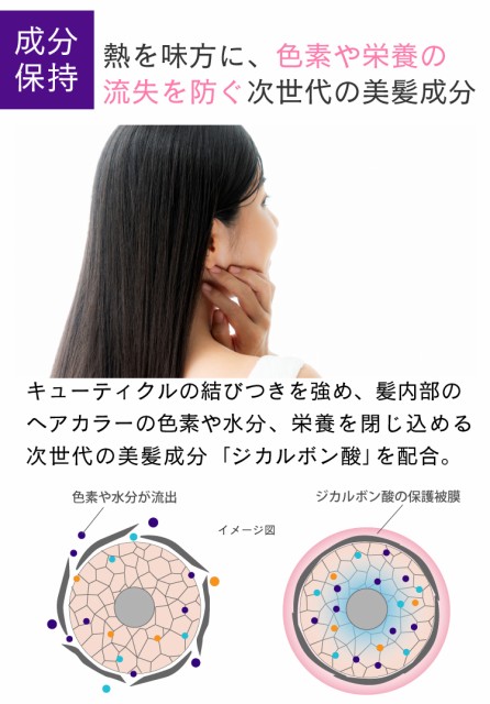 サロン専売品 単品 カラー専用色持ちアップシャンプー トリートメント各250ml ヘアカラー 白髪染めが長持ちの通販はau Pay マーケット Hair Make Earth 商品ロットナンバー